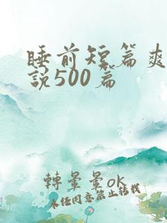 睡前短篇爽文小说500篇