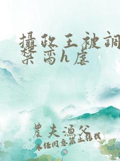 摄政王被调教成禁脔h虐