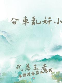 公车乱奸小说