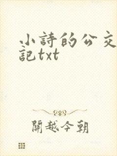 小诗的公交车日记txt