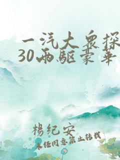 一汽大众探岳330两驱豪华版