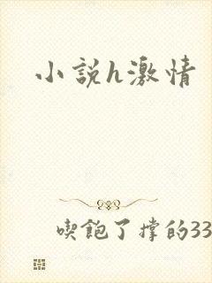 小说h激情
