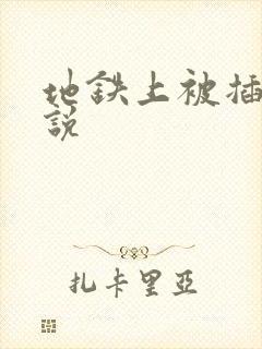 地铁上被插入小说