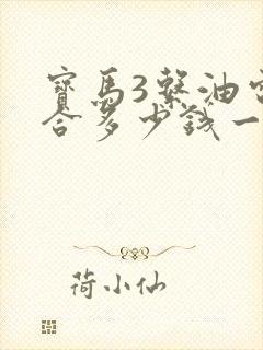 宝马3系油电混合多少钱一辆