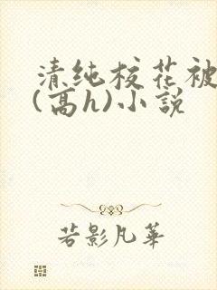 清纯校花被调教(高h)小说