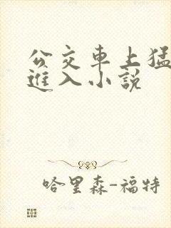 公交车上猛烈的进入小说