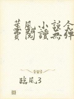 叶风小说全文免费阅读无弹窗最新章节