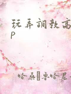 玩弄调教高hnp