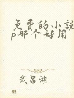 免费的小说app哪个好用