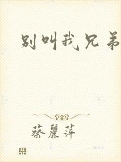 别叫我兄弟介绍