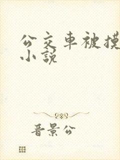 公交车被摸高潮小说
