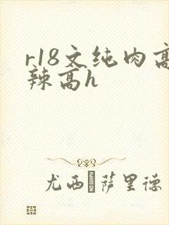 r18文纯肉高辣高h