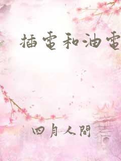 插电和油电区别