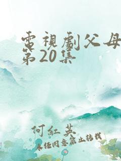 电视剧父母爱情第20集