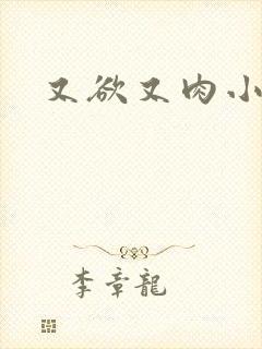 又欲又肉小说