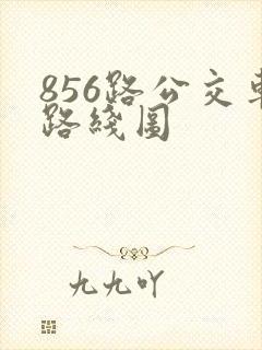 856路公交车路线图
