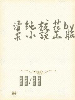 清纯校花by沈柔小说正版