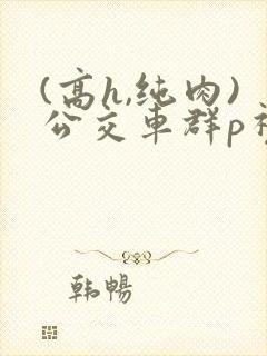(高h,纯肉)公交车群p视频