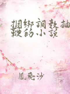 捆绑调教抽小皮鞭的小说 捆绑调教抽小皮鞭的小说
