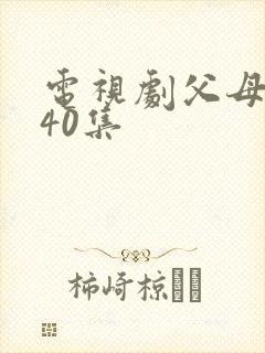 电视剧父母爱情40集