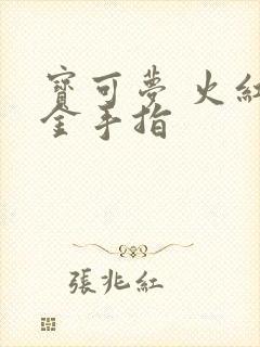 宝可梦 火红 金手指