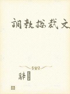 调教总裁文
