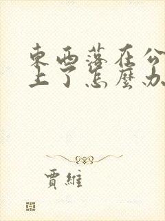 东西落在公交车上了怎么办