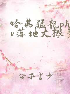 哈弗猛龙phev落地大概多少钱 哈弗猛龙phev落地大概多少钱