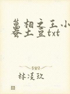 万相之王小说天蚕土豆txt