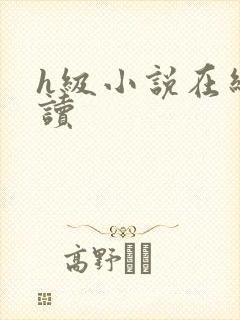 h级小说在线阅读