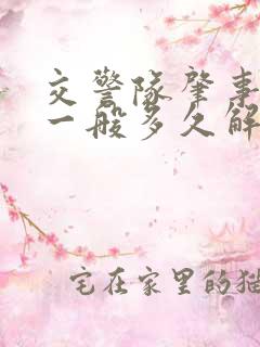 交警队肇事逃逸一般多久解决