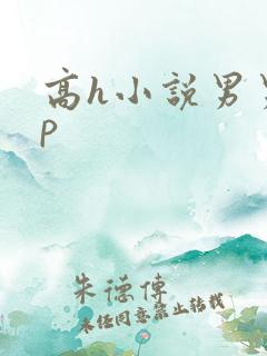 高h小说男男np