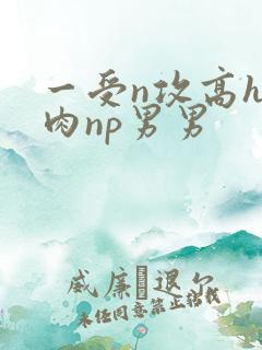 一受n攻高h全肉np男男