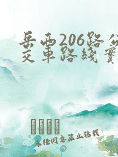 岳西206路公交车路线实时查询