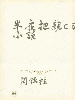 半夜把亲c爽了小说