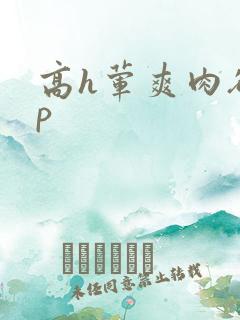 高h荤爽肉欲np