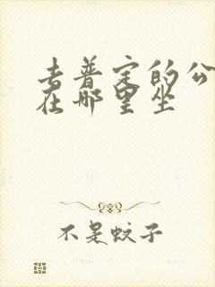 去普定的公交车在哪里坐 去普定的公交车在哪里坐