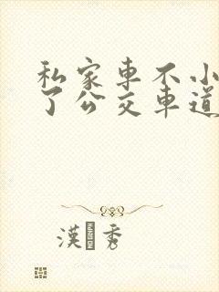 私家车不小心走了公交车道