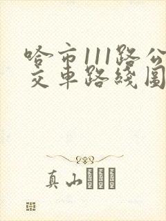 哈市111路公交车路线图