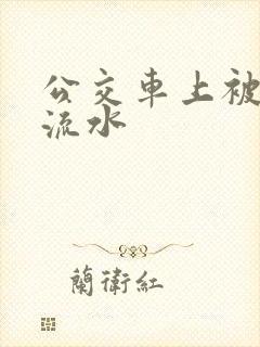 公交车上被蹭到流水