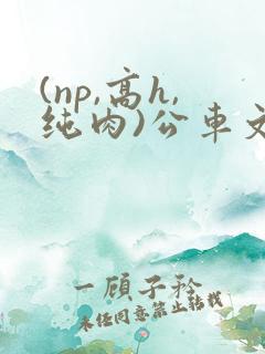 (np,高h,纯肉)公车文