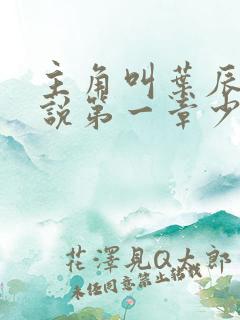 主角叫叶辰的小说第一章少年归来