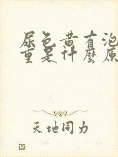 尿色黄有泡沫味重是什么原因