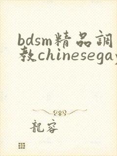 bdsm精品调教chinesegay