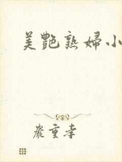 美艳熟妇小说