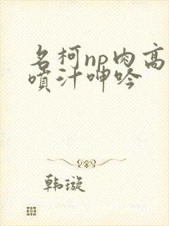 名柯np肉高h喷汁呻吟 名柯np肉高h喷汁呻吟