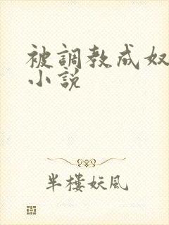 被调教成奴隶的小说