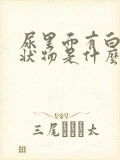 尿里面有白色絮状物是什么原因