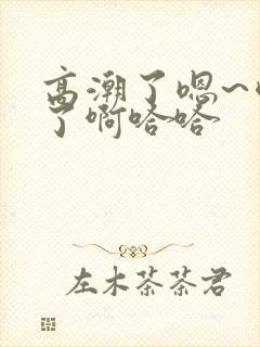 高潮了嗯~喷水了啊哈哈