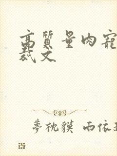 高质量肉宠文总裁文